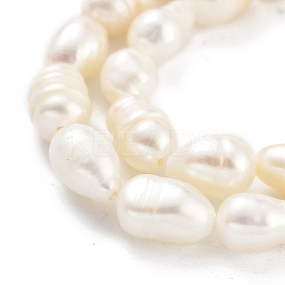 Natural Keshi Pearl Cultured Freshwater Pearl Beads Strands PEAR-P062-34-1