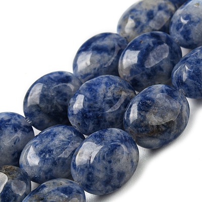 Natural Blue Spot Jasper Beads Strands G-M420-D08-01-1