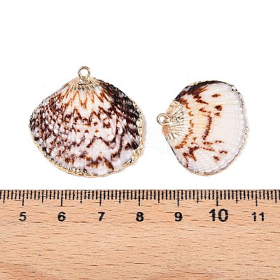 Electroplated Edge Natural Sea Shell Pendants SSHEL-N038-19-1