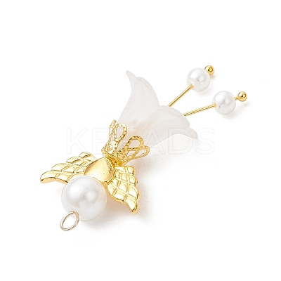 Glass Pearl & Acrylic Pendants PALLOY-JF04047-01-1
