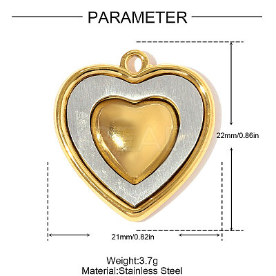 304 Stainless Steel Pendants STAS-OY008-34GP-1