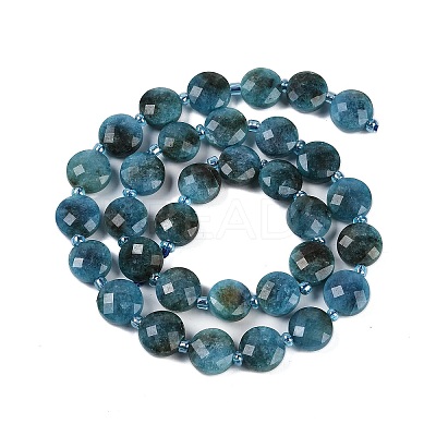 Natural Apatite Beads Strands G-B094-A27-01-1