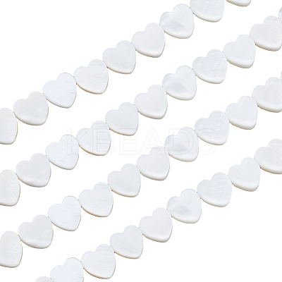 4 Strands Natural Freshwater Shell Beads Strands SHEL-HS0001-11-1