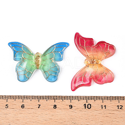 Printed Translucent Acrylic  Pendants OACR-T028-21-1