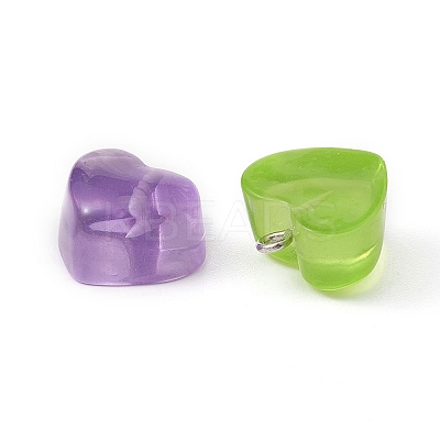 15Pcs Transparent Resin Pendants RESI-YW0001-45-1