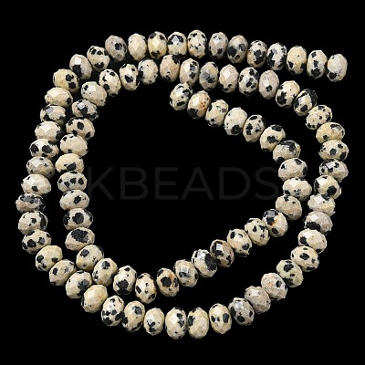 Natural Dalmatian Bead Strands G-D344-A26-1