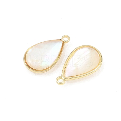 Brass Enamel Pendants KK-K252-10G-06-1
