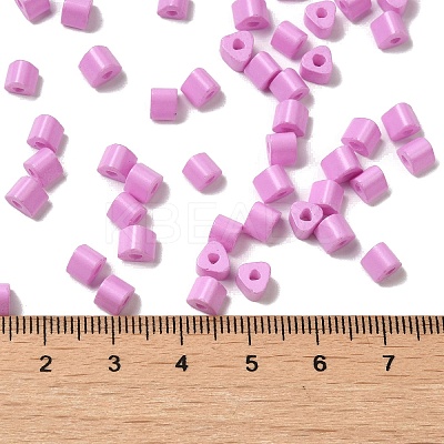 Baking Paint Glass Bead SEED-H002-K-D308-1