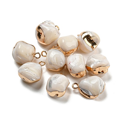 Natural Trochus Shell Nuggets Charms with Brass Edge BSHE-G034-22-1