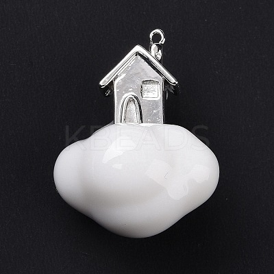 Acrylic Pendants FIND-I024-05B-1