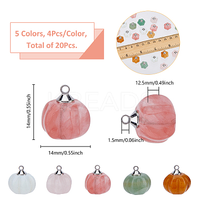 20Pcs 5 Styles Natural & Synthetic Mixed Gemstone Pumpkin Charms with Platinum Plated Brass Loops PALLOY-FH00025-1