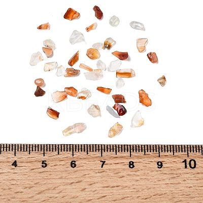 Natural Carnelian Chip Beads LS-X-G-O103-18-1