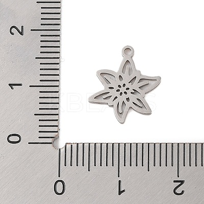 Non-Tarnish 304 Stainless Steel Pendants STAS-S139-06P-01-1