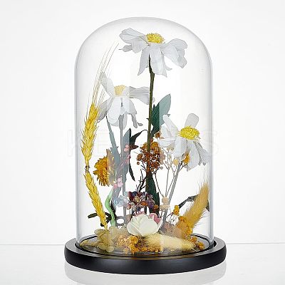 Glass Dome Cover AJEW-WH0001-95A-1