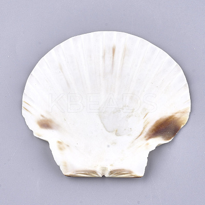 Natural Scallop Shell Beads SSHEL-S258-46-1