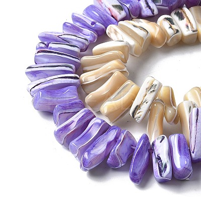 Dyed Natural Trochus Shell Beads Strands SSHEL-C013-09-1