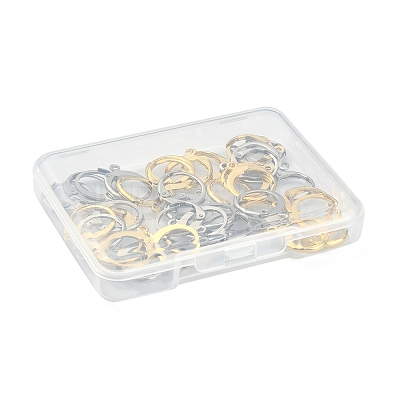 40Pcs 2 Colors 304 Stainless Steel Leverback Earring Findings STAS-FS0001-24-1