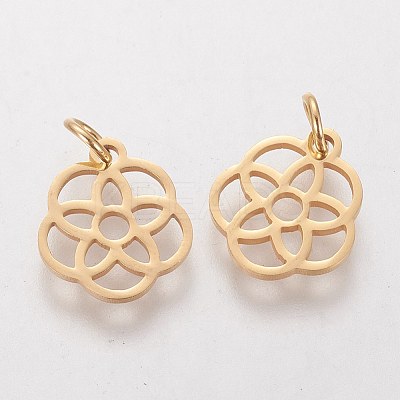 304 Stainless Steel Pendants LS-STAS-Q201-T454G-1