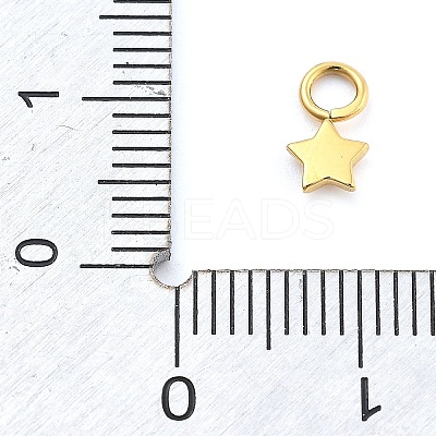 Ion Plating(IP) 304 Stainless Steel Charms STAS-P379-06B-G-1