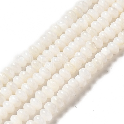 Natural Freshwater Shell Beads Strands BSHE-E026-15B-02-1