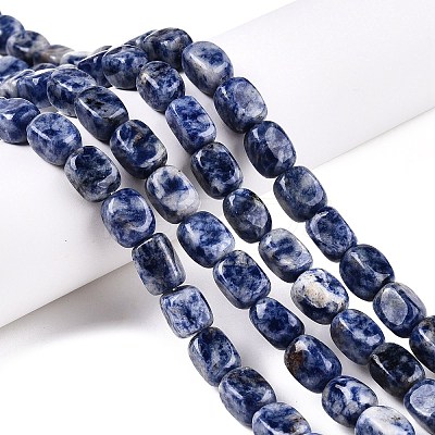 Natural Blue Spot Jasper Beads Strands G-T138-101-1