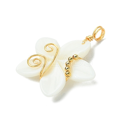 Natural Carved Freshwater Shell Pendants PALLOY-JF03391-1