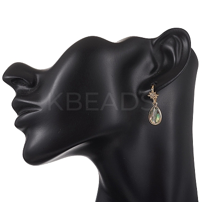 Brass Micro Pave Clear Cubic Zirconia Dangle Earrings EJEW-JE06947-1