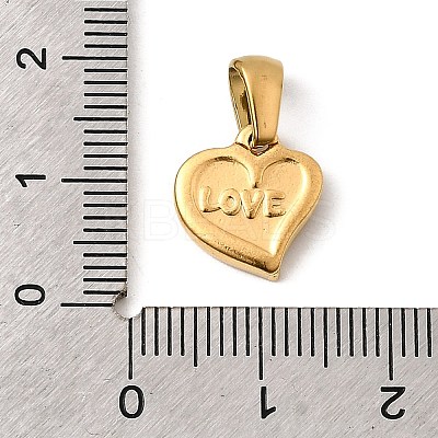 304 Stainless Steel Charms STAS-B094-09G-1