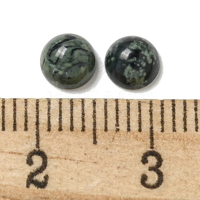 Natural Kambaba Jasper Cabochons G-Q173-01B-22-1