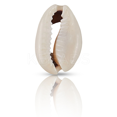 100Pcs Natural Cowrie Shell Beads BSHE-LT0001-08-1