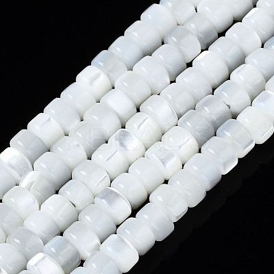 Natural Trochid Shell/Trochus Shell Beads Strands SSHEL-S266-016A-01-1