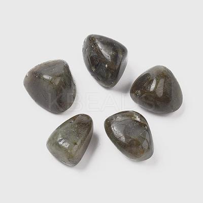 Natural Labradorite Beads G-K302-A09-1