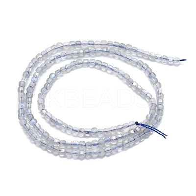 Natural Labradorite Beads Strands G-P457-B01-19-1