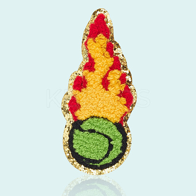 Polyester Iron on/Sew On Patches PATC-WH20005-16C-1