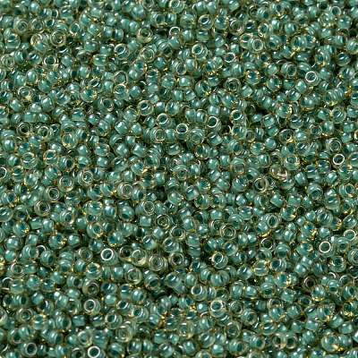 MIYUKI Round Rocailles Beads SEED-X0056-RR0374-1