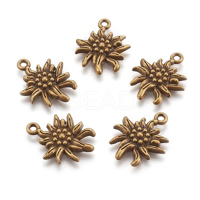 Tibetan Style Alloy Pendants LS-X-TIBEP-A113357-AB-FF-1