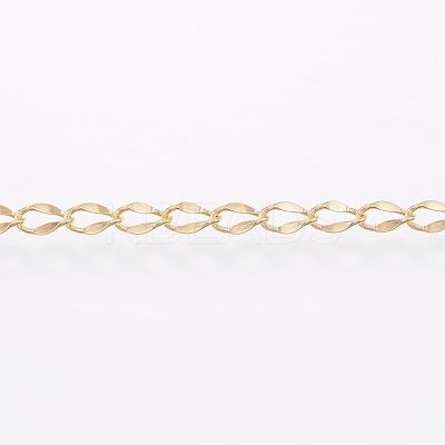 3.28 Feet Handmade Ion Plating(IP) 304 Stainless Steel Twisted Chain Curb Chains X-CHS-H007-57B-1