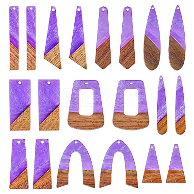 20Pcs 10 Styles Resin & Wood Pendants WOOD-TA0002-67A-1