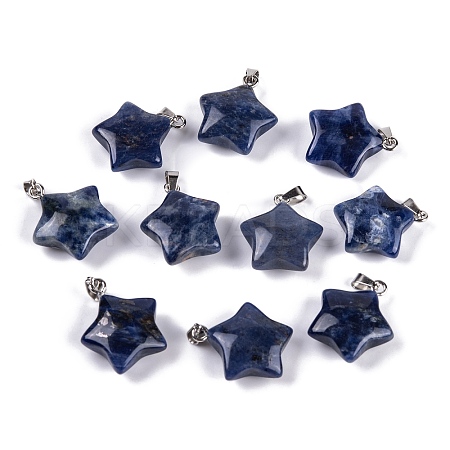 Natural Sodalite Pendants G-Q172-09P-08-1