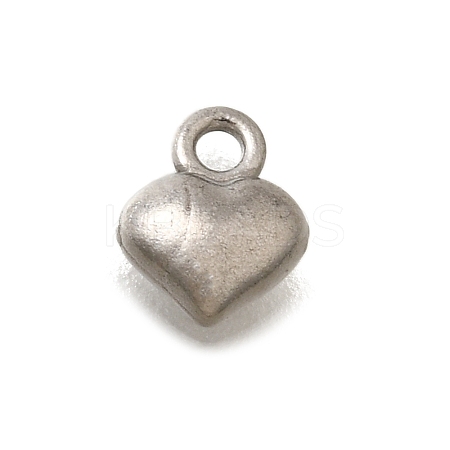 304 Stainless Steel Charms STAS-D310-06P-03-1