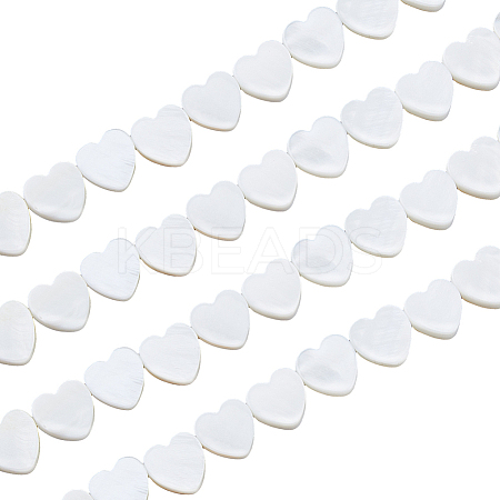 4 Strands Natural Freshwater Shell Beads Strands SHEL-HS0001-11-1