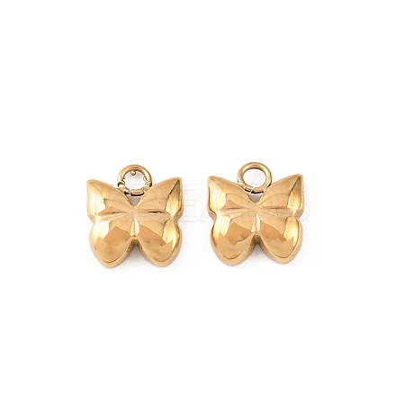 304 Stainless Steel Charms STAS-D390-28B-G-1