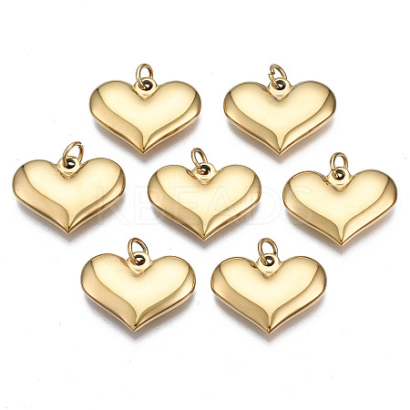 316 Surgical Stainless Steel Pendants X-STAS-N097-005-1