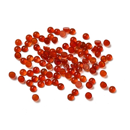 Natural Carnelian Dome/Half Round Cabochons G-G037-01B-04-1