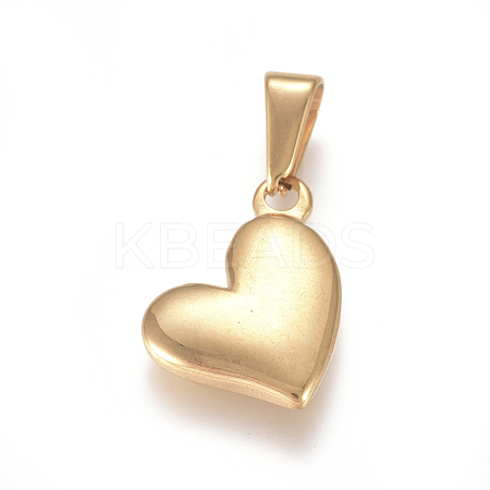 304 Stainless Steel Charms X-STAS-I127-068G-01-1