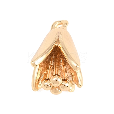 Brass Pendants KK-B181-01C-G-1