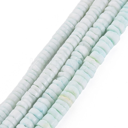 Sea Shell Beads Strands SSHEL-T014-49-1