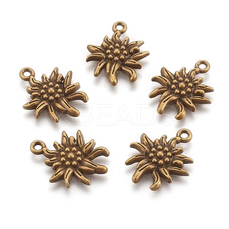Tibetan Style Alloy Pendants LS-X-TIBEP-A113357-AB-FF-1