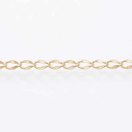 3.28 Feet Handmade Ion Plating(IP) 304 Stainless Steel Twisted Chain Curb Chains X-CHS-H007-57B-1
