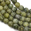 Natural Gemstone Beads GSR032-9